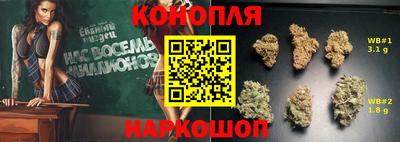 гашик Кулебаки