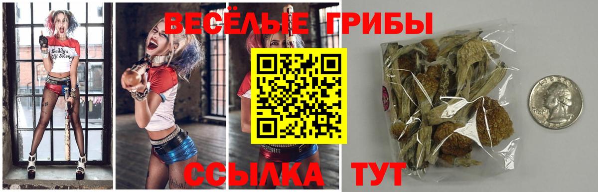 Галлюциногенные грибы мицелий Хасавюрт